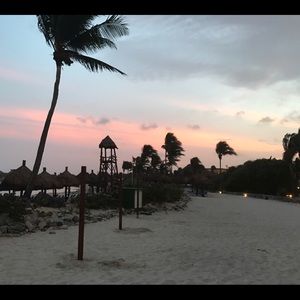 Meet your Posher, Lexi